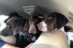 going-camping