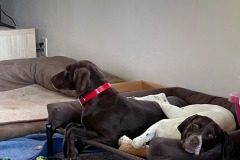 molly-and-emma
