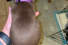 IMG_3405-1