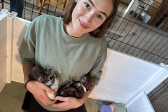Hannah-Puppies