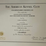 Ruger Champion Certificate Ruger Champion Certificate