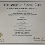 Ruger Grand Champion Certificate Ruger Grand Champion Certificate