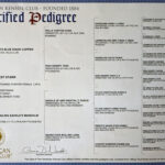Ruger Pedigree Ruger Pedigree
